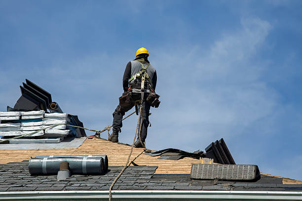 Professional Storm Damage Roof Repair technician working in Clarkton, MO